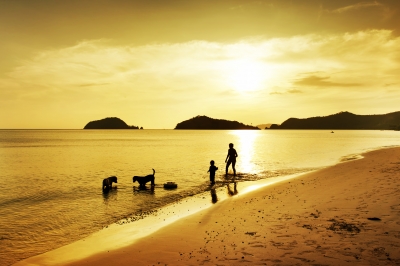 Spaziergang am Strand mit Hund