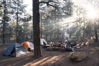 Camping in Gesellschaft